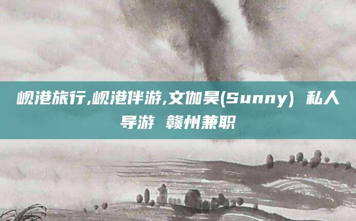 桐乡岘港旅行,岘港伴游,文伽昊(Sunny) 私人导游 赣州兼职